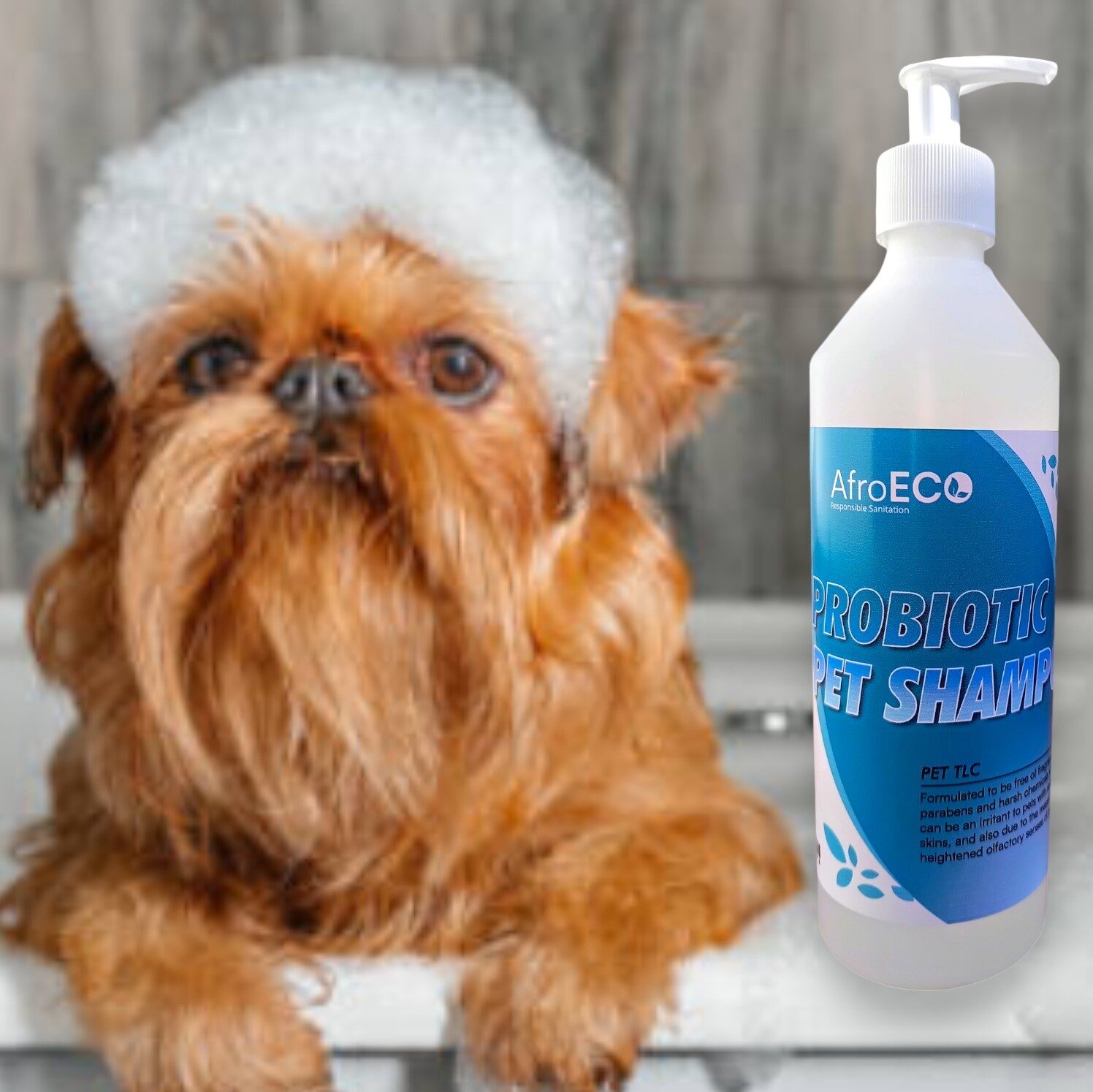 AfroECO Probiotic Pet Shampoo - Image 5